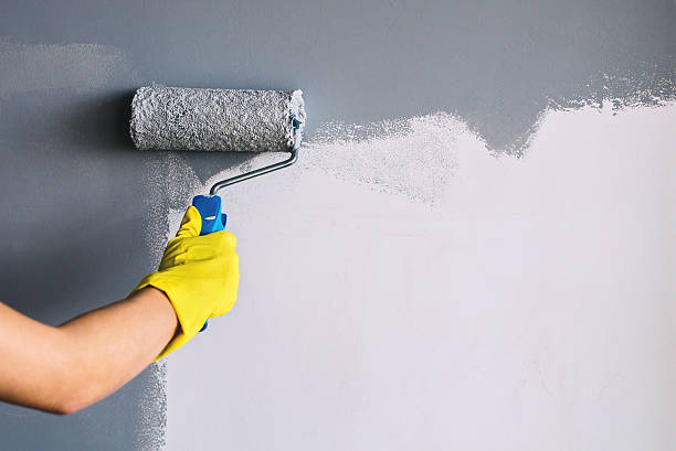 Tacoma's Option for Expert Residential Painters